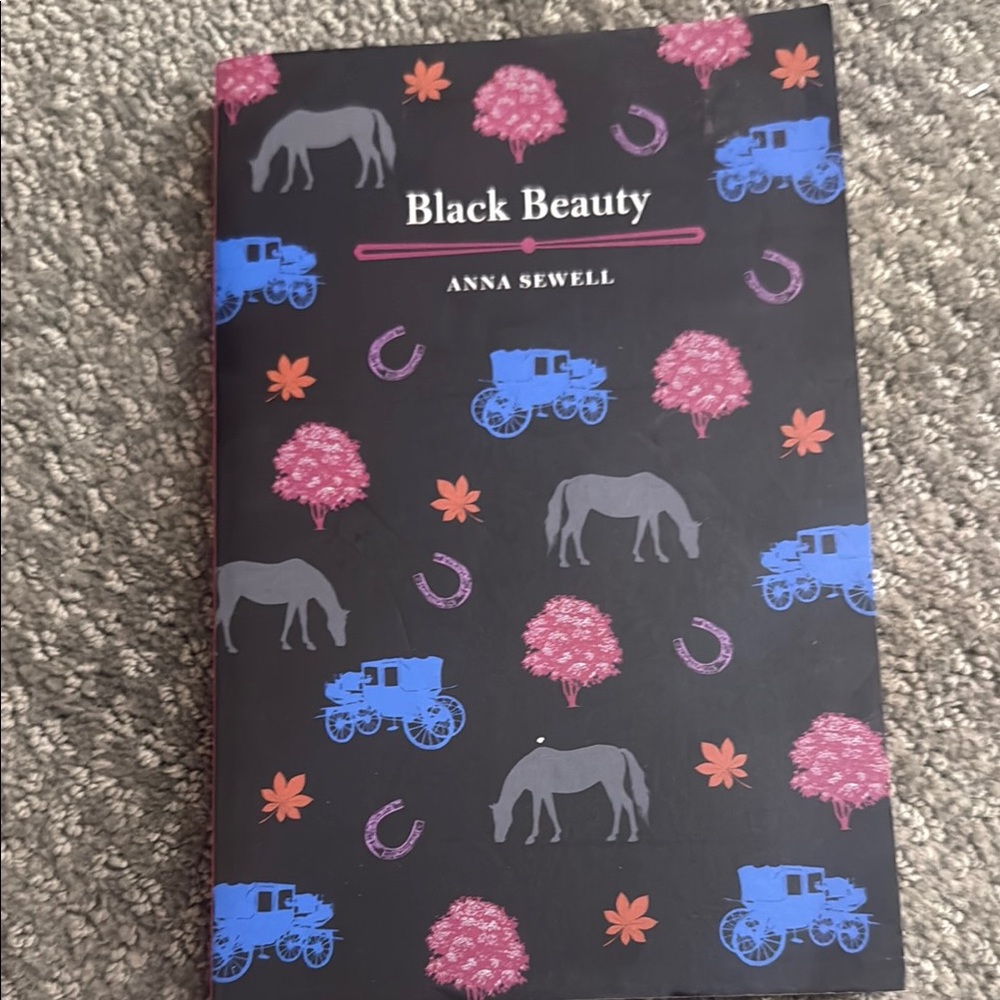 Black Beauty Book with Colorful Cover